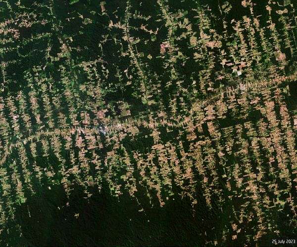 Report links meatpacking companies to 'war on nature' in Brazil