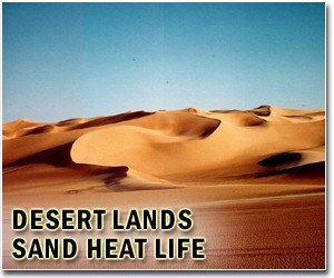 Rapid action required on desertification: Algerian minister