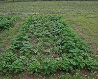A new approach to detecting changes in GM foods