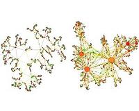 Understanding of complex networks could help unify gravity and quantum mechanics