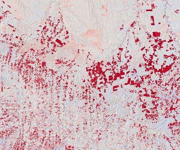Topographic changes on Earth measured