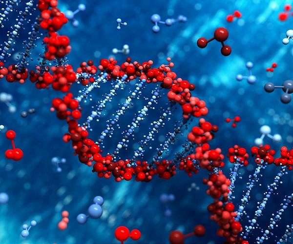 Origins of life could have started with DNA-like XNAs