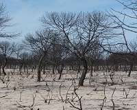 Water theft a growing concern in increasingly-dry Spain