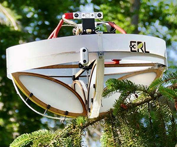 Special drone collects environmental DNA from trees