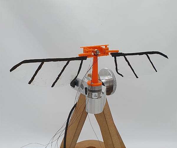 Future drones likely to resemble 300-million-year-old flying machine