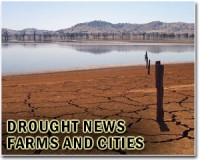 'Catastrophic' drought hits Czech Republic: minister