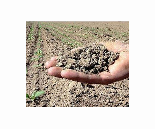 Marginal land available for bioenergy crops much scarcer than previously estimated