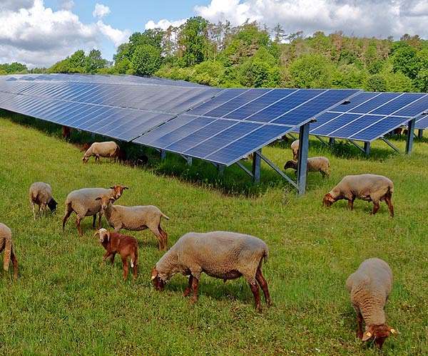 Report: Inflation Reduction Act will boost solar energy growth by 40%