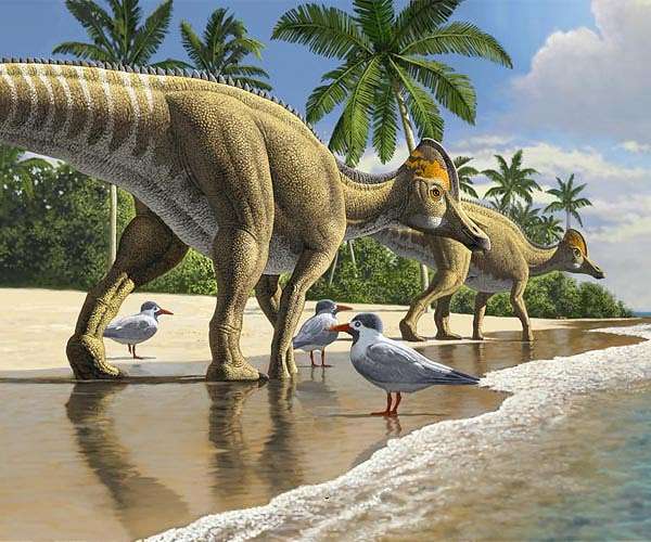 Dinosaurs may have lived in 'social' herds 193 million years ago