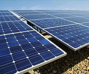 Solar Panels Can Attract Breeding Water Insects