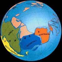 Ebb And Flow Of The Sea Drives Big Extinction Events