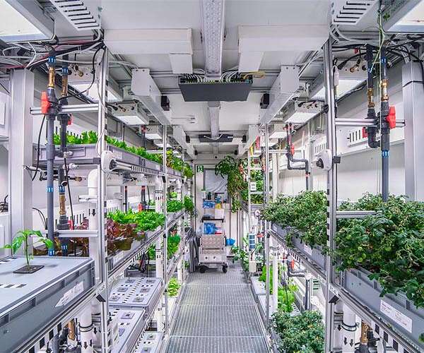 NASA guest scientist set to spend a year at DLR's EDEN ISS Antarctic greenhouse for the first time