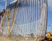 Dutch challenge EU pulse fishing ban in top court