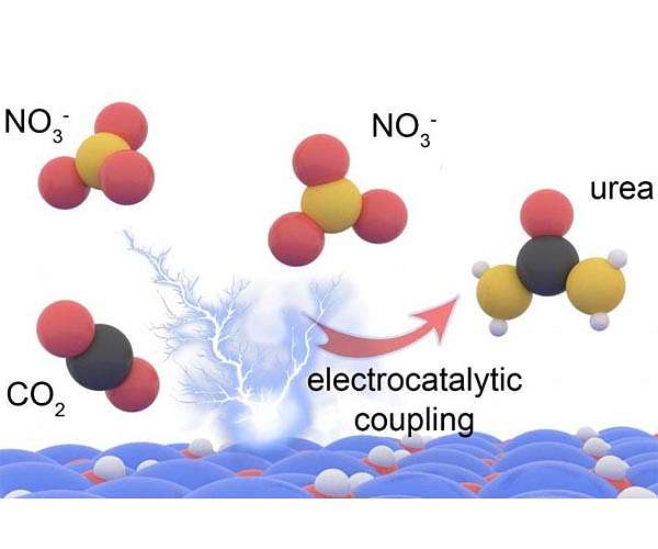 New method makes vital fertilizer element in a more sustainable way