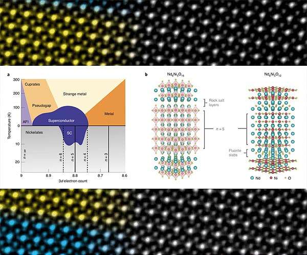 Finding superconductivity in nickelates