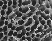 E-magy Silicon enhances Lithium Ion Batteries, targeting for 50% additional capacity