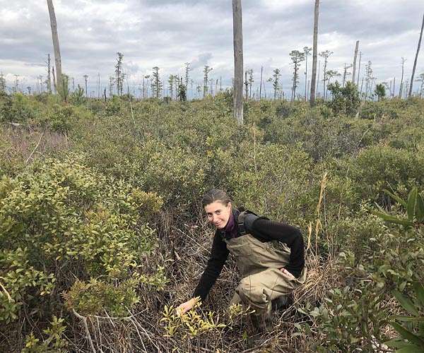 Mapping North Carolina's ghost forests from 430 miles up
