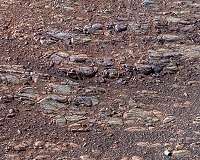 Mars Rover Team's Tilted Winter Strategy Works