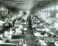 Scientists Learn Why The Flu May Turn Deadly