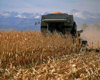 BIO Confident That Biofuels Can Meet Renewable Fuel Standard Goals