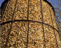 Analysis: Foreign firms oppose corn