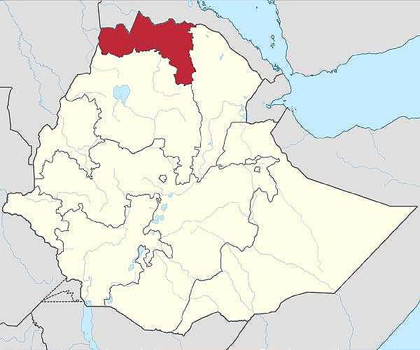 New cabinet unveiled for Ethiopia's Tigray