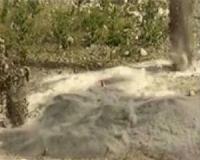 Seismic activity of underground chemical blasts linked to gas explosions