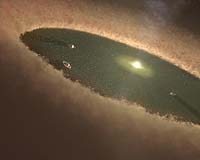 Cultivating a Planetary Garden: How Long Does It Take?