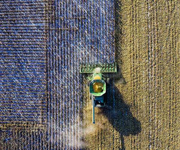 Natural pesticides gain ground in 'agri-tox' capital Brazil