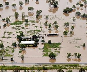 Breakthrough in the production of flood-tolerant crops