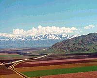 Centuries Of Land-Use Practices Profoundly Impact Earth System