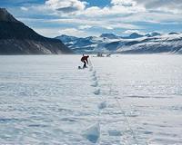 Carbon from land played a role during last deglaciation