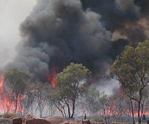 Aboriginal Hunting Practice Increases Animal Populations