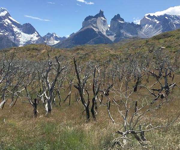 Why South America is burning