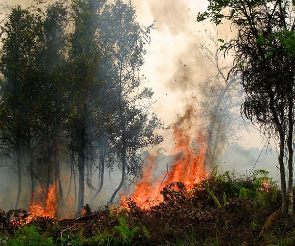 Nepal hit by worst wildfires in almost a decade