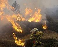 Spain hit by more wildfires as heatwave continues