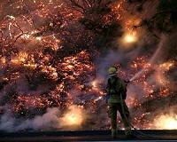 Southern California wildfires show split personalities