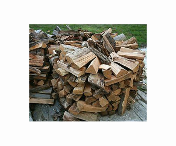 India's clean fuel transition slowed by belief that firewood is better for well-being