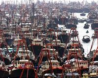 Illegal, industrial fishing threaten oceans: experts