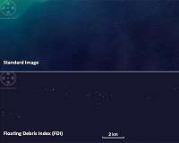 First successful study to detect marine plastic pollution using satellites