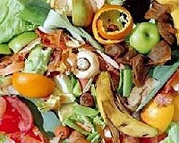 Half the planet could be hit by food crisis by 2100: study