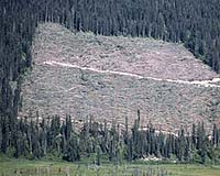 Global Warming Aided By Drought, Deforestation Link