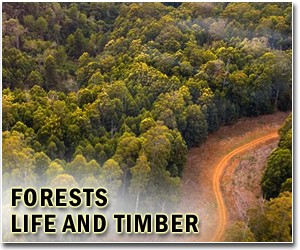 Indonesia, EU sign pact on sustainable timber