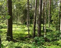 Melting Scandinavian ice provides missing link in Europe's final Ice Age story