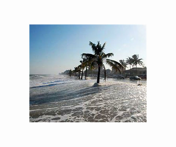 Sea levels 'could rise much faster': Dutch meteorologists