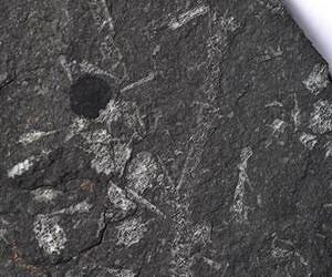 Prehistoric builders reveal trade secrets