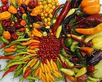 Domestication Provides Insights Into Crop Origin And Evolution