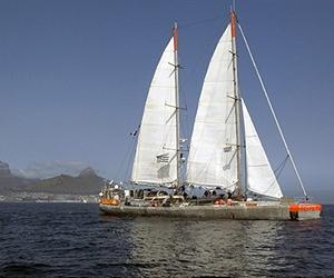 Sailing with nerves of glass