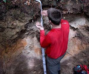 Fungi may determine the future of soil carbon