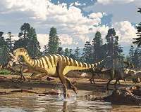 Unusual carnivorous dinosaurs called noasaurids lived in Australia